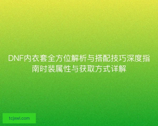 DNF内衣套全方位解析与搭配技巧深度指南时装属性与获取方式详解