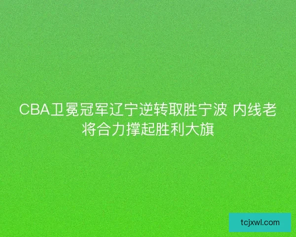 CBA卫冕冠军辽宁逆转取胜宁波 内线老将合力撑起胜利大旗