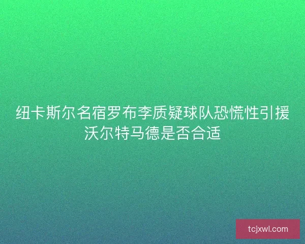 纽卡斯尔名宿罗布李质疑球队恐慌性引援沃尔特马德是否合适