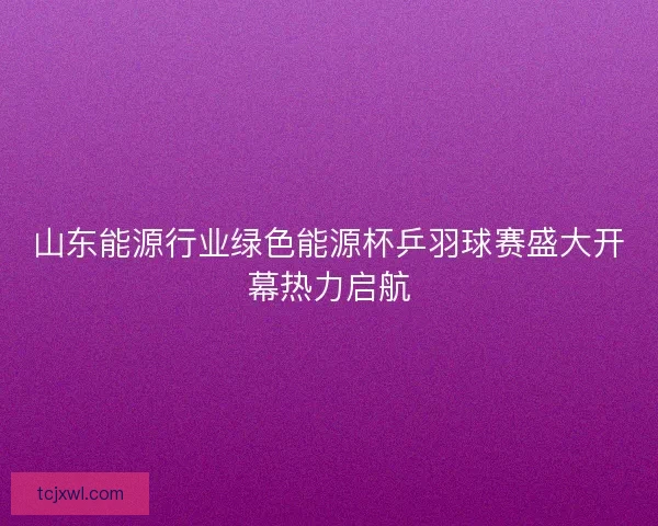 山东能源行业绿色能源杯乒羽球赛盛大开幕热力启航