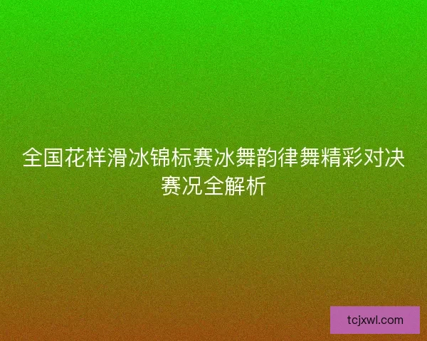 全国花样滑冰锦标赛冰舞韵律舞精彩对决赛况全解析