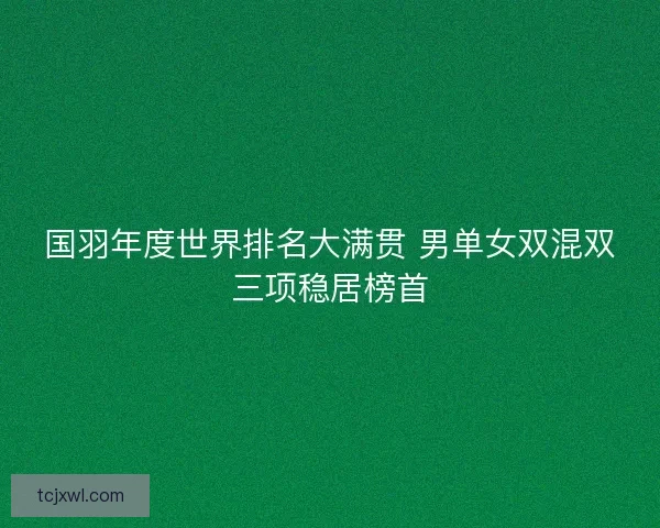 国羽年度世界排名大满贯 男单女双混双三项稳居榜首